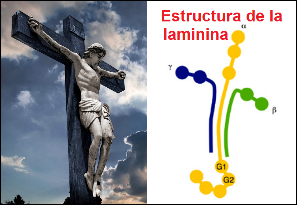 Imperio mundial de la profecia